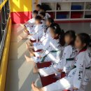 경희대 에이스 태권도장 이미지