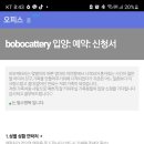 보보캐터리 네이버블로그