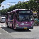 중앙초교 사거리 이미지