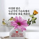 [🔴강력🔴] 오늘부터 시행 꼭!!! 참고 하셔서 벌금 내지 맙시다. 이미지