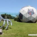 축구공(감동) 이미지