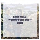 팔팔한의원 이미지