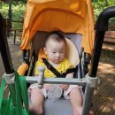 공설운동장길(공설운동장) 이미지