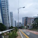 몰운대초등학교 이미지