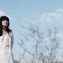 해바라기-청춘(1) 이미지