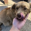 군자파출소 이미지