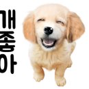 에이에스에스 이미지