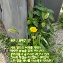 공존