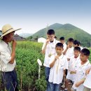 농촌유학 정남진 협동조합 이미지