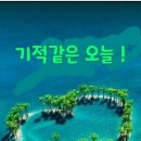 참좋은 이미지