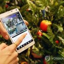 참수농장 이미지