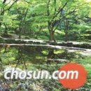 연못 - 영등포구 | 연못