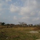 일과리-1 이미지