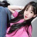 밤비노