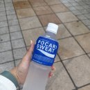 GS25 서산행운점 | 남편과 서산 태안 1박 2일 여행 (카페모월, 공룡달밝, 윤슬 카페, 몽산포해수욕장)