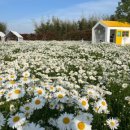 오늘, 정원 이미지