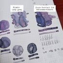 그레이잉크 | [ 잉크 ] 디아민 레이디그레이(Lady grey) 발색·비교 후기