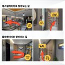 팰리스 에스테틱