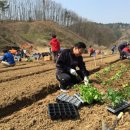 이종길농장 이미지