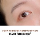 아비르엔 | [판교역 속눈썹펌] 아비르 뷰티 방문 후기 솔직 리뷰 :: 판교역 근처 속눈썹펌, 속눈썹 연장