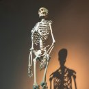 메디피트니스 이미지