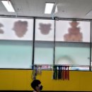 대월태권도장 이미지