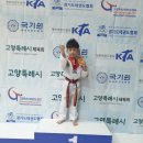 고양최강태권도장 이미지