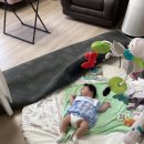 세젤마켓 | 기록 (페어리테일, 블레스마이베베, 비드소울, 마이리틀코즈모, 베이비샵, 마켓컬리 브레드이발소 케이크)