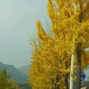 팔공산로 이미지