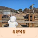 산장목장 | 대관령 삼양목장 삼양라운드힐 겨울 할인 꿀팁 식당 아기랑 후기