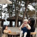 한울타리펜션민박 이미지