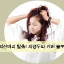 지성솔루션