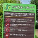 명지동 도시바람길숲 | 평택 통복천 맨발로 걷는 바람길 숲, 직접 걸어봤어요!