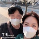 형제게임장 | 평창 "알펜시아 리조트" 1박2일 커플여행 후기