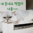 바다향그대로 네이버블로그