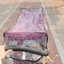 오창어린이치과의원 이미지