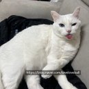 26년 상반기 일상) 어머나! 아직도 라이즈 해?