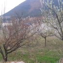 정상농장 이미지