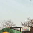 태안 도담빌리지 단체 키즈 갯벌 가족 수영장 네이버블로그