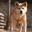 금강 농장 이미지