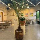 유아스 | 철산역 카공카페 디저트카페 추천 | 유니팝 아트스페이스/유아스 카페 내돈내산 후기