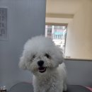 멍빨털빨 이미지