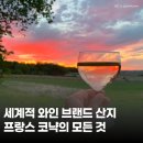와인에 대한 모든 것 | 세계적인 와인 브랜디 산지, 프랑스 코냑의 모든 것 (보르도 근교💜)