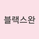 블랙스완헤어살롱 네이버블로그