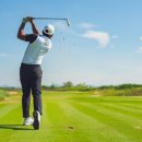 아우디 스크린골프 이미지