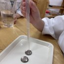 🧪🧫향기반의 리틀과학박사- 동전을 이용한 표면장력 실험🧪🧫 이미지