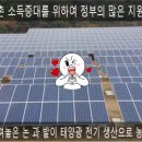 장수순이 태양광발전소 네이버블로그