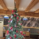 월명 | 🍣 군산 이성당 근처 맛집, 치히로(ちひろ) 군산월명점 후기[군산맛집]