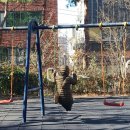 배수지어린이공원 이미지