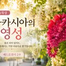 영성 티스토리